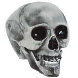 Calavera pvc 20 cm