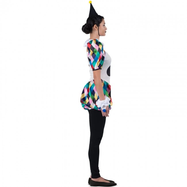 Costume da Arlecchino Picas multicolore per uomo