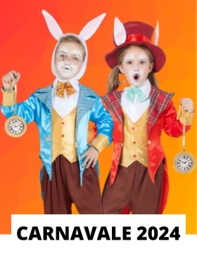 55 Vestiti di Carnevale per Neonati  Halloween bimbi piccoli, Costumi di  animali, Costumi da bambina